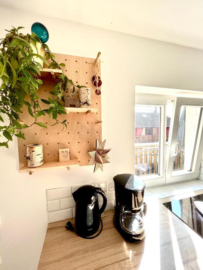 Sous Les Toits Avec Garage Et Terrasse A Ribeauville エクステリア 写真